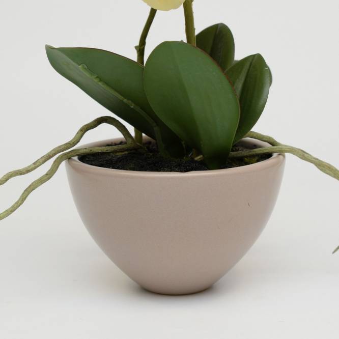Orhidee artificiala Phalaenopsis crem in vas ceramic, 30 cm
