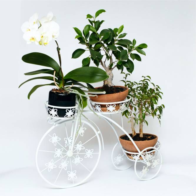Suport flori metalic bicicleta pentru 3 ghivece