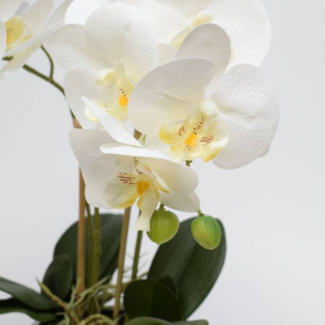 Orhidee artificiala Phalaenopsis alba in vas ceramic cu aspect 100% natural, 50 cm