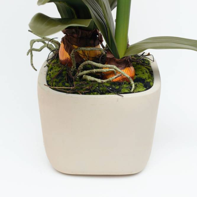 Floare artificiala Amaryllis in ghiveci din ciment, aspect 100% natural, 63 cm