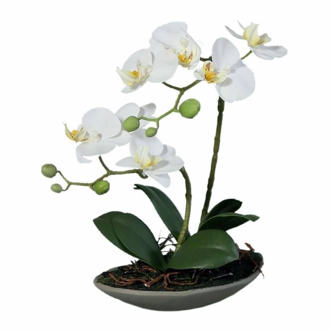 Orhidee artificiala Phalaenopsis alba  cu aspect 100% natural 30 cm