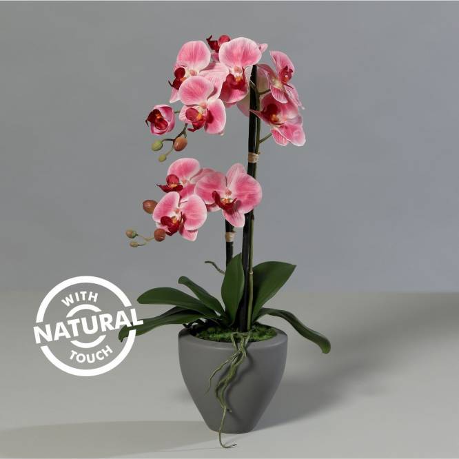 Orhidee artificiala Phalaenopsis roz cu aspect 100% natural in vas ceramic, 57 cm