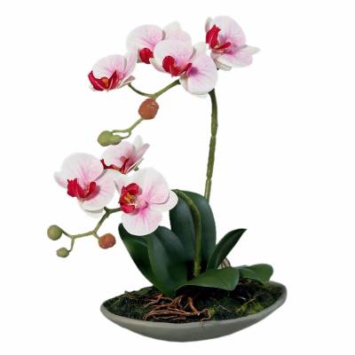 Orhidee artificiala Phalaenopsis alb-roz cu aspect 100% natural 30 cm