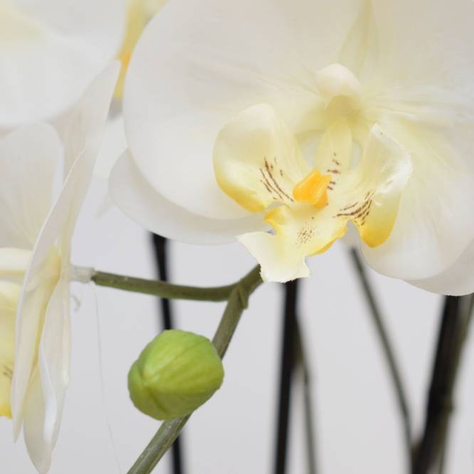 Orhidee artificiala Phalaenopsis alba cu aspect 100% natural in bila de pamant, 85 cm