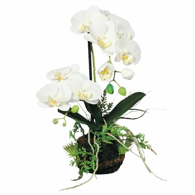 Orhidee artificiala Phalaenopsis alba cu aspect 100% natural in bila de pamant, 45 cm