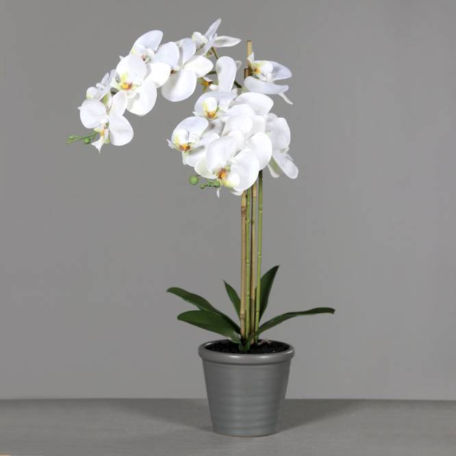 Orhidee artificiala Phalaenopsis alba 58 cm in vas ceramic