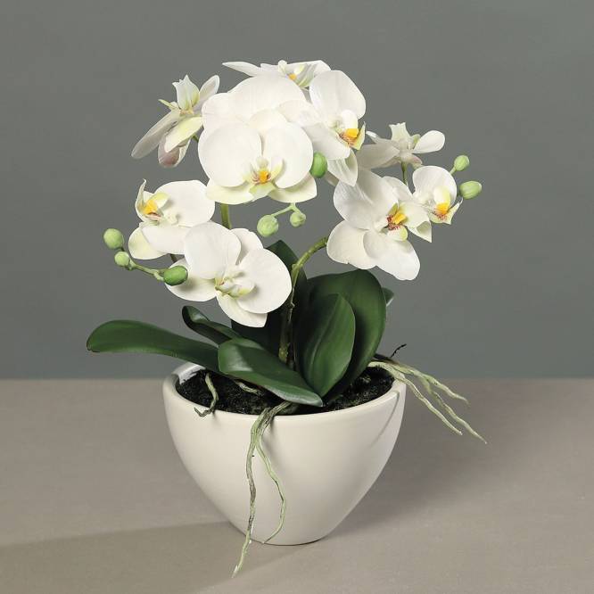 Orhidee artificiala Phalaenopsis alba in vas ceramic, 35 cm