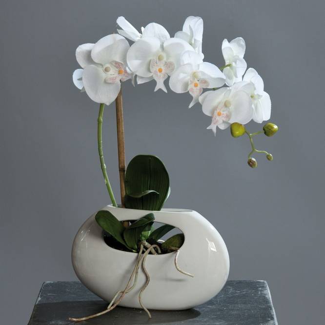 Orhidee artificiala alba Phalaenopsis in vas ceramic alb, 43 cm