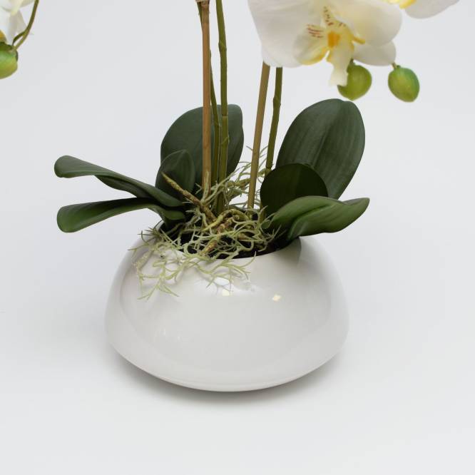 Orhidee artificiala Phalaenopsis alba in vas ceramic cu aspect 100% natural, 50 cm