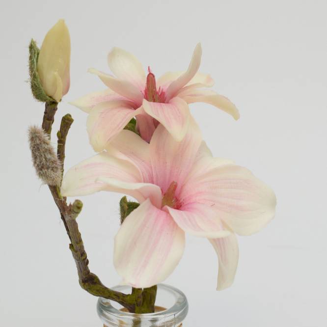 Magnolie crem 23 cm in vas de sticla, aspect 100% natural, artificiala
