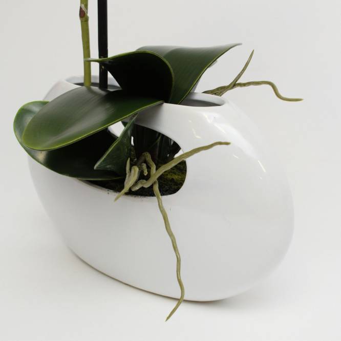 Orhidee artificiala alba Phalaenopsis in vas ceramic alb, 43 cm