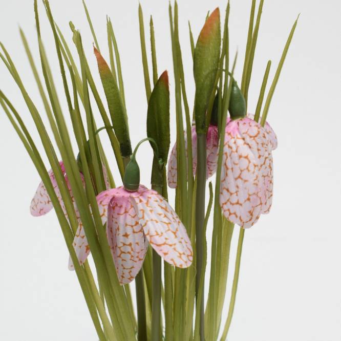 Fritillaria 22 cm in vas cu iarba artificiala, alb, roz , fucsia