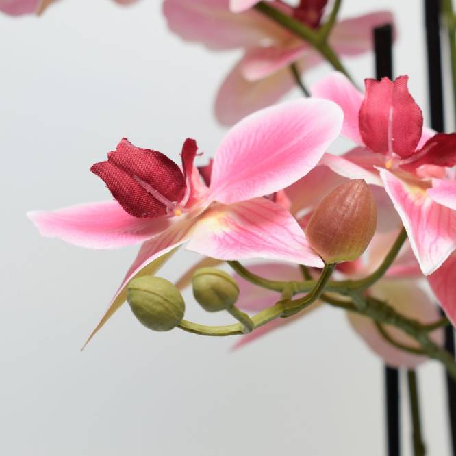 Orhidee artificiala Phalaenopsis roz cu aspect 100% natural in vas ceramic, 70 cm