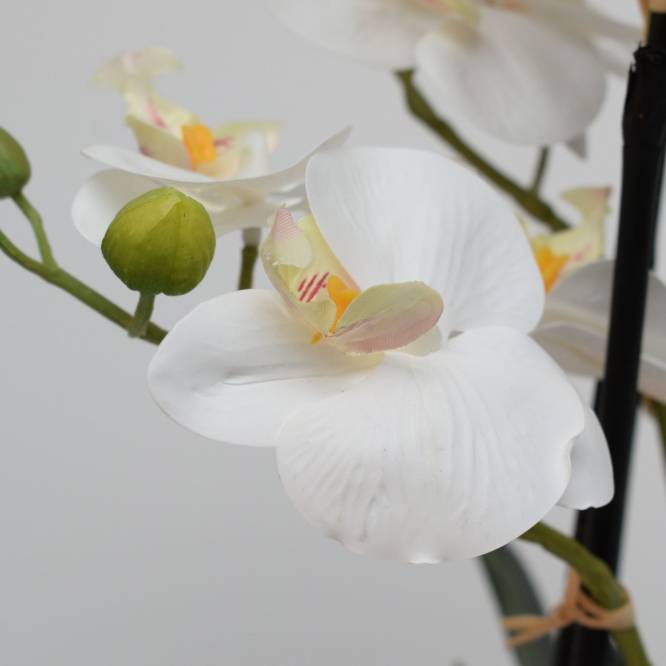 Orhidee artificiala Phalaenopsis  alba cu aspect 100% natural  in vas ceramic, 36 cm