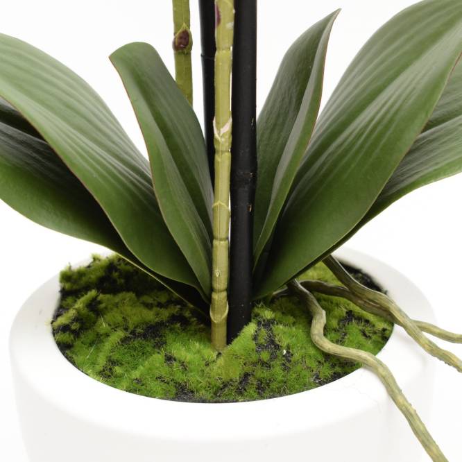 Orhidee artificiala Phalaenopsis  alba cu aspect 100% natural in vas ceramic, 57 cm
