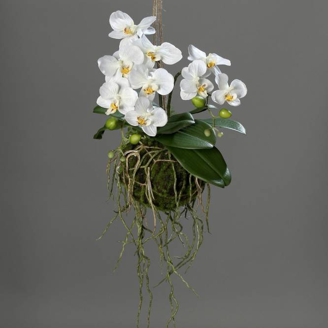 Aranjament orhidee artificiala Phalaenopsis Avatar alba pentru agatat, 43 cm