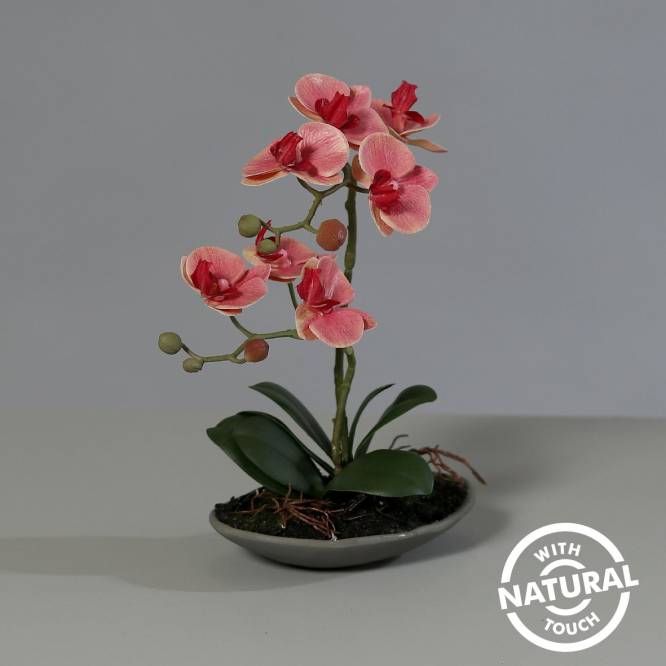 Orhidee artificiala  Phalaenopsis somon cu aspect 100% natural in vas ceramic, 30 cm