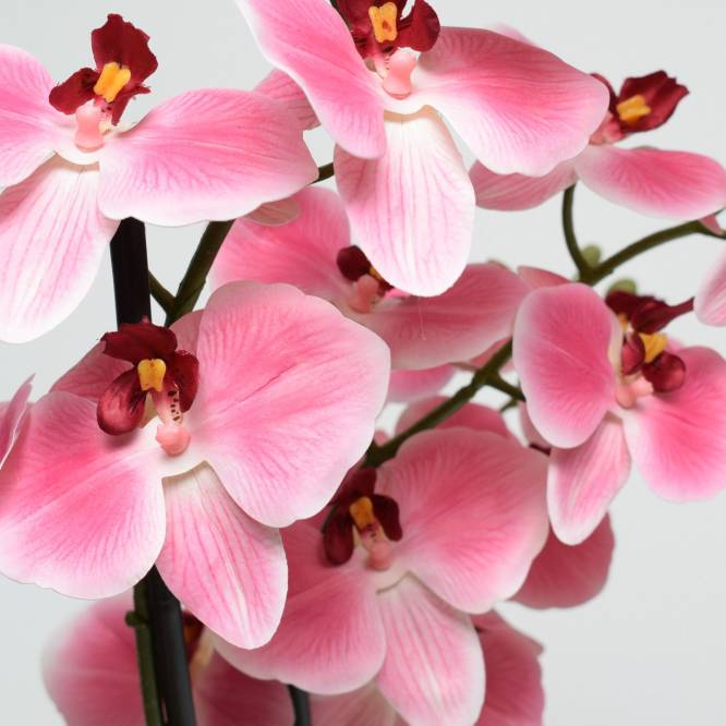 Orhidee artificiala Phalaenopsis roz cu aspect 100% natural in vas ceramic, 70 cm