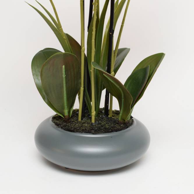 Orhidee artificiala somon Phalaenopsis cu aspect 100% natural in vas ceramic, 51 cm