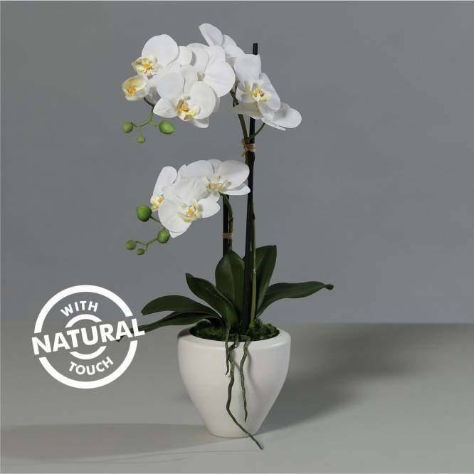 Orhidee artificiala Phalaenopsis  alba cu aspect 100% natural in vas ceramic, 57 cm