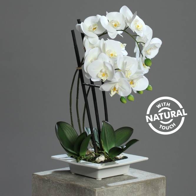 Orhidee artificiala Phalaenopsis Fresh alba cu aspect 100% natural in vas ceramic ,  46 cm