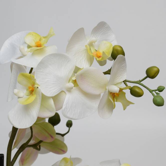 Orhidee artificiala Phalaenopsis alba in bila de pamant, 140 cm