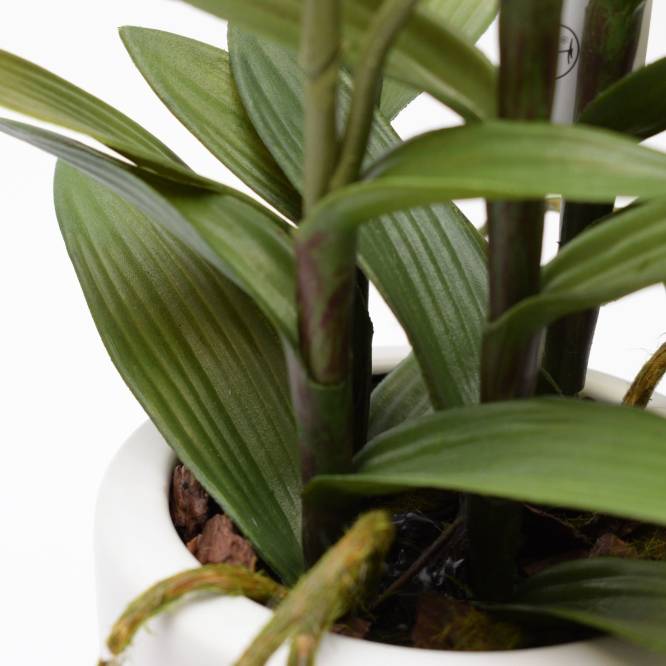 Orhidee artificiala Oncydie alba cu aspect 100% natural in ghiveci ceramic, 64 cm