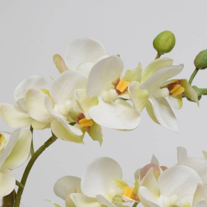 Orhidee Phalaenopsis alba artificiala  cu aspect 100% natural in vas ceramic, 51 cm