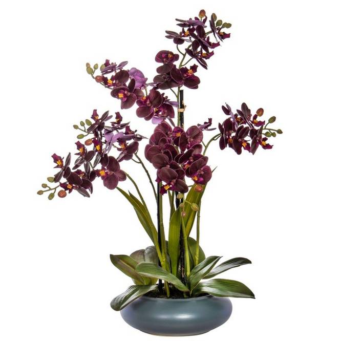 Orhidee artificiala burgundy Phalaenopsis cu aspect 100% natural in vas ceramic, 51 cm