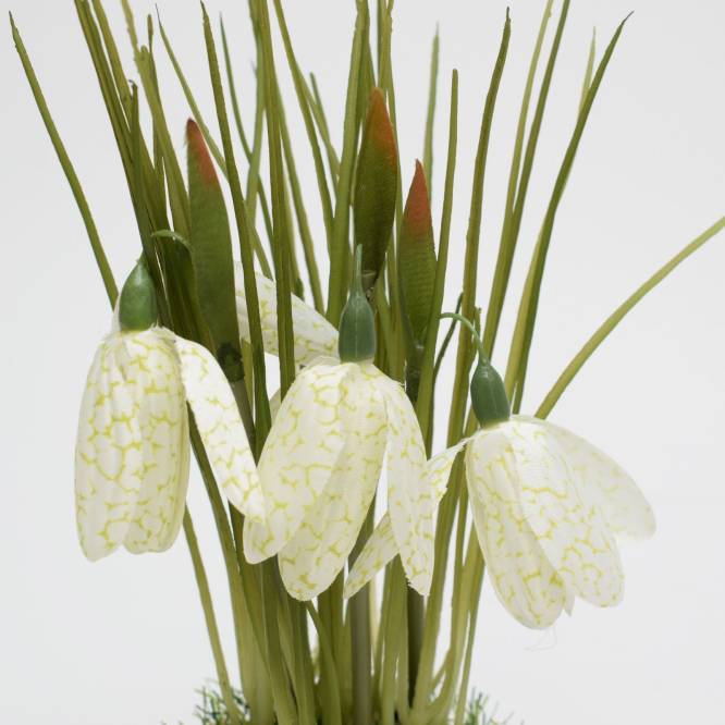 Fritillaria 22 cm in vas cu iarba artificiala, alb, roz , fucsia