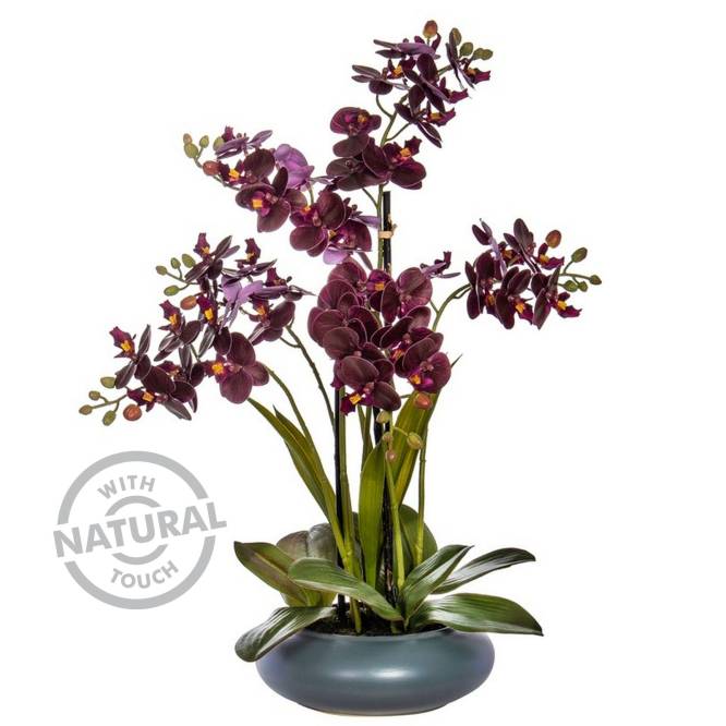 Orhidee artificiala burgundy Phalaenopsis cu aspect 100% natural in vas ceramic, 51 cm