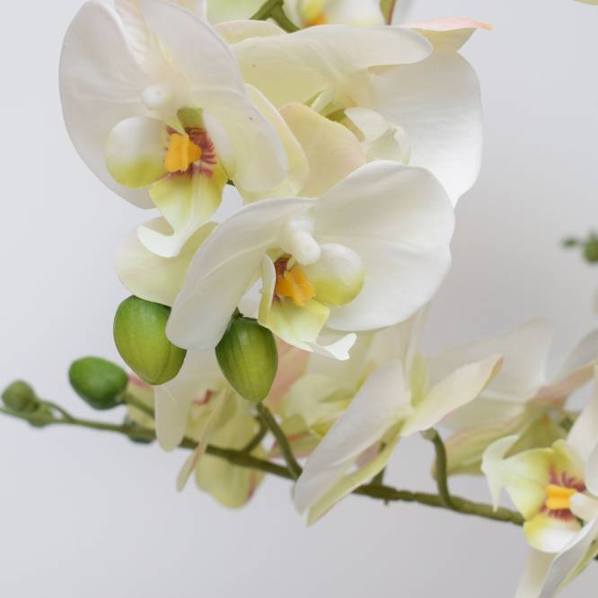Aranjament orhidee artificiala alba cu plante suculente, aspect 100% natural, 71 cm