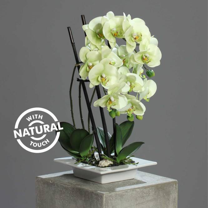 Orhidee artificiala Phalaenopsis Fresh vernil cu aspect 100% natural in vas ceramic, 46 cm