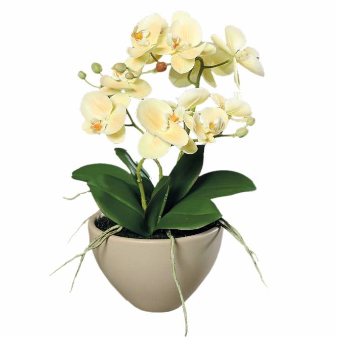 Orhidee artificiala Phalaenopsis crem in vas ceramic, 35 cm