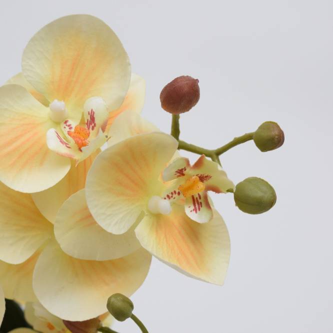 Orhidee artificiala Phalaenopsis crem in vas ceramic, 35 cm