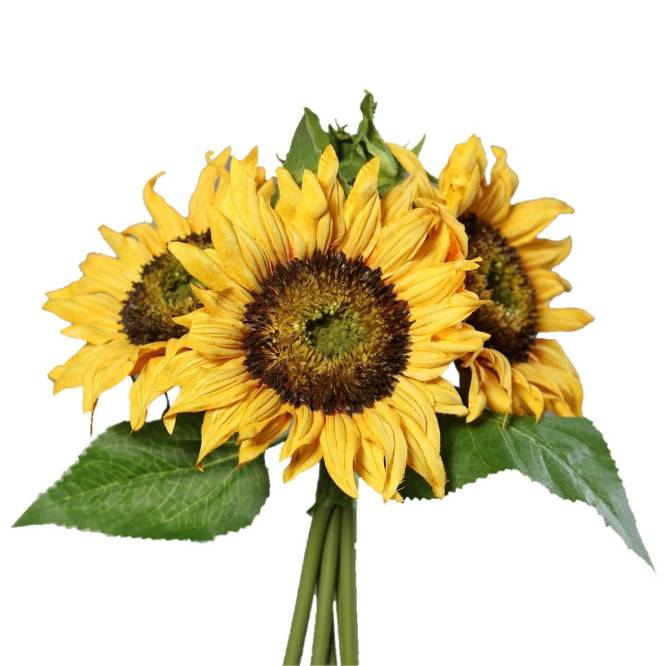Buchet floarea soarelui  artificiala,25 cm