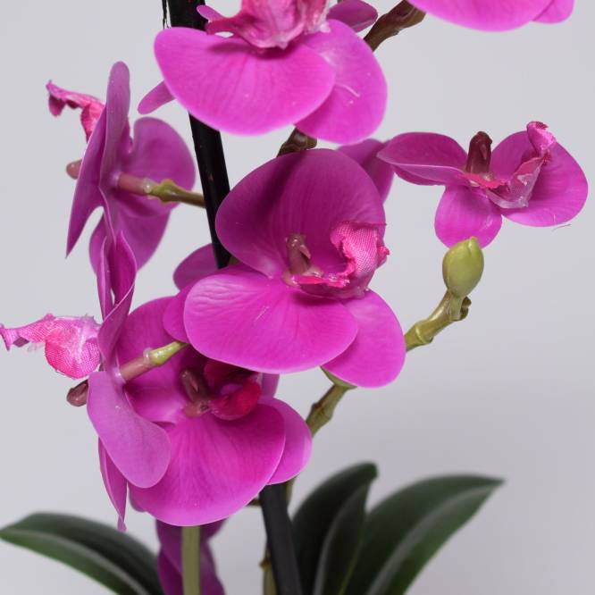 Orhidee artificiala Phalaenopsis mov cu aspect 100% natural in vas ceramic, 30 cm