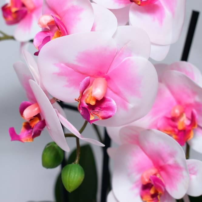 Orhidee artificiala Phalaenopsis Fresh alb-roz cu aspect 100% natural in vas ceramic, 46 cm