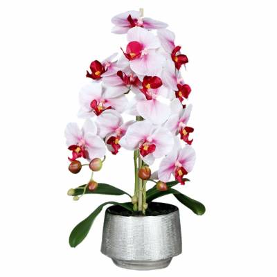 Orhidee artificiala Phalaenopsis  alb-rosu in vas ceramic, 60 cm