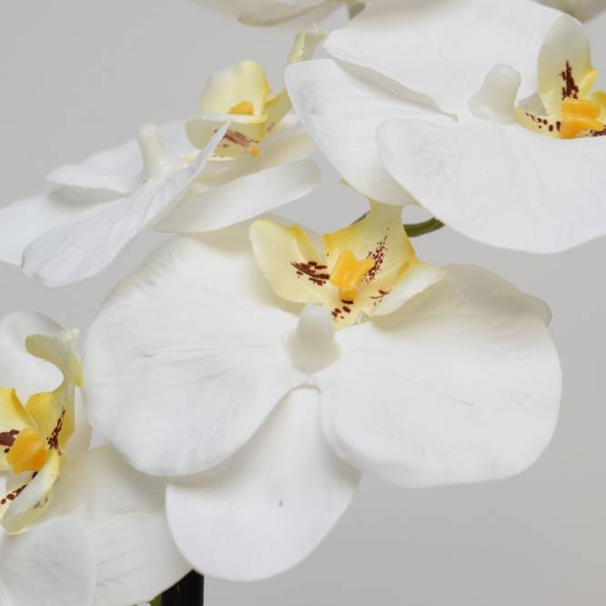 Orhidee artificiala Phalaenopsis  alba cu aspect 100% natural in vas ceramic, 57 cm