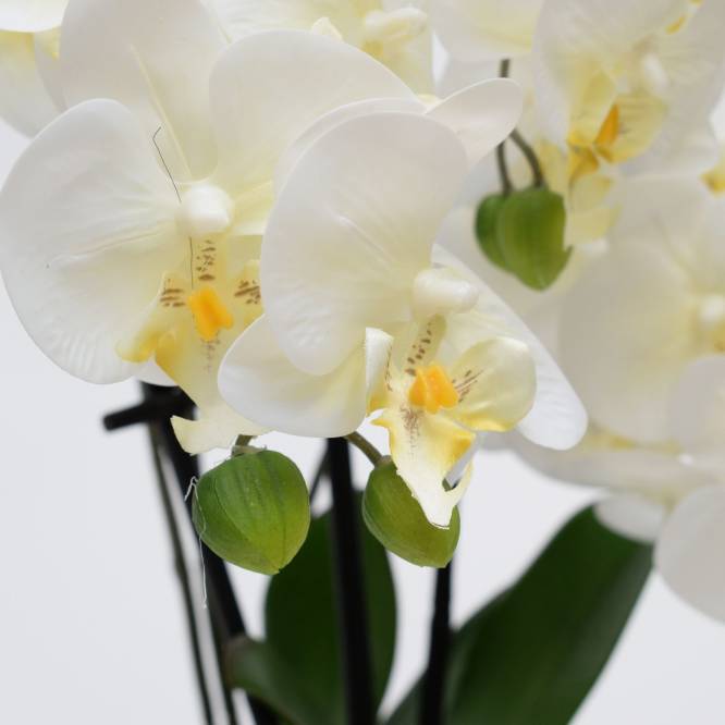 Orhidee artificiala Phalaenopsis alba cu aspect 100% natural, 50 cm