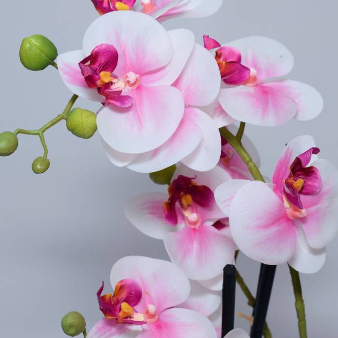 Orhidee artificiala Phalaenopsis alb-roz cu aspect 100% natural in vas ceramic,  36 cm